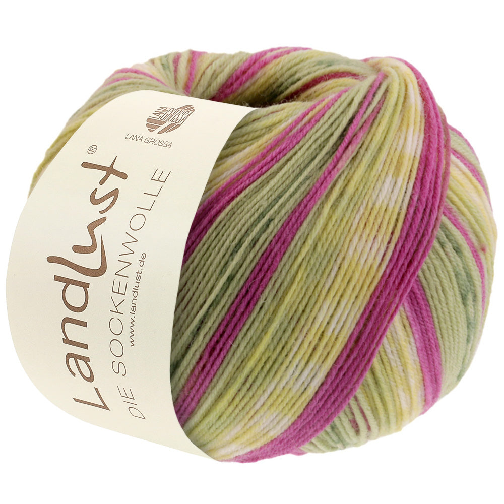 Lana Grossa Landlust, kleur 421