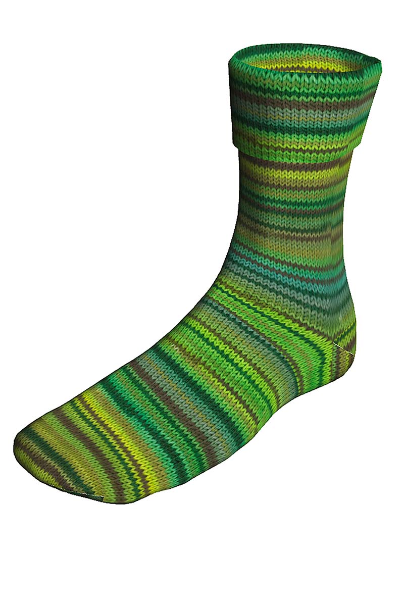 Lang Yarns Super Soxx, kleur Dublin