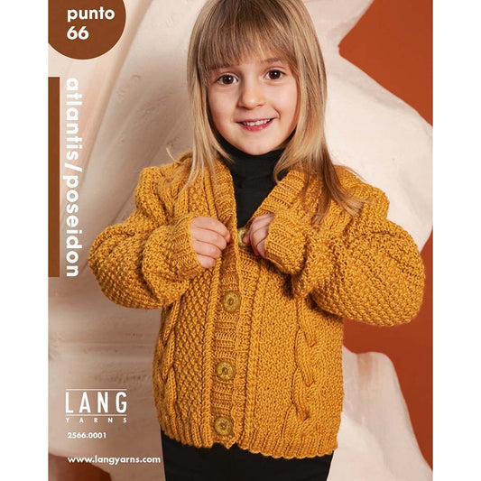 Lang Yarns Punto 66